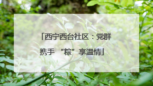 西宁西台社区：党群携手 “粽”享温情