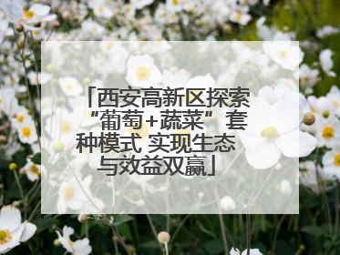 西安高新区探索“葡萄+蔬菜”套种模式 实现生态与效益双赢