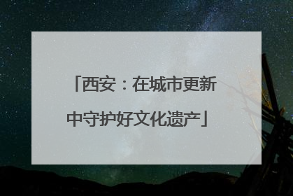 西安：在城市更新中守护好文化遗产