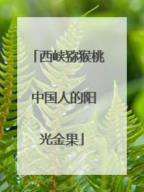 西峡猕猴桃 中国人的阳光金果