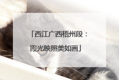 西江广西梧州段：霞光映照美如画