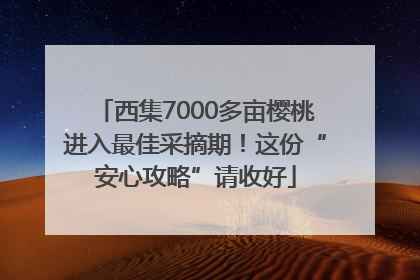 西集7000多亩樱桃进入最佳采摘期！这份“安心攻略”请收好