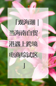 观海潮｜当海南自贸港遇上跨境电商综试区