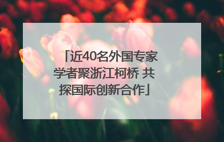 近40名外国专家学者聚浙江柯桥 共探国际创新合作