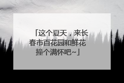 这个夏天，来长春市百花园和鲜花撞个满怀吧~