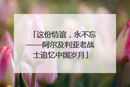 这份情谊，永不忘——阿尔及利亚老战士追忆中国岁月