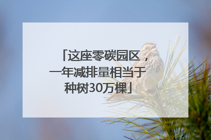 这座零碳园区，一年减排量相当于种树30万棵