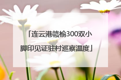 连云港赣榆300双小脚印见证驻村巡察温度