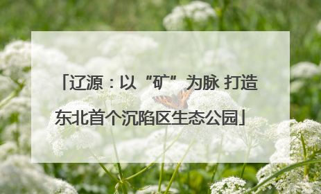 辽源：以“矿”为脉 打造东北首个沉陷区生态公园