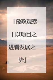 豫政观察丨以项目之进看发展之势