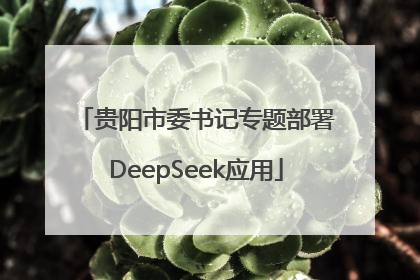 贵阳市委书记专题部署DeepSeek应用