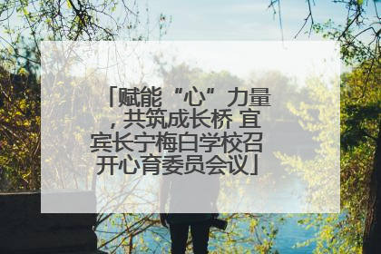 赋能“心”力量，共筑成长桥 宜宾长宁梅白学校召开心育委员会议
