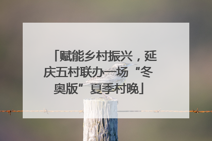 赋能乡村振兴，延庆五村联办一场“冬奥版”夏季村晚
