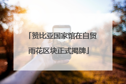 赞比亚国家馆在自贸雨花区块正式揭牌