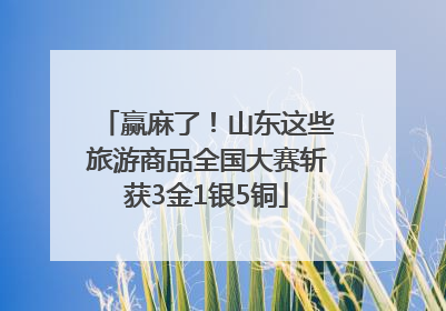赢麻了！山东这些旅游商品全国大赛斩获3金1银5铜