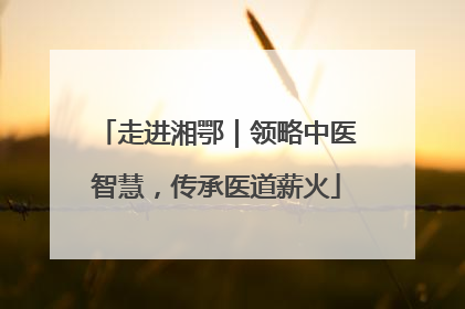 走进湘鄂｜领略中医智慧，传承医道薪火