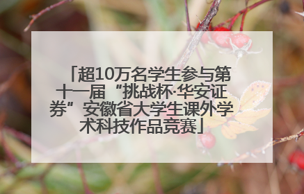 超10万名学生参与第十一届“挑战杯·华安证券”安徽省大学生课外学术科技作品竞赛