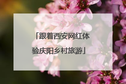 跟着西安网红体验庆阳乡村旅游