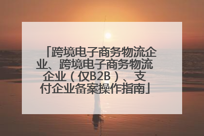 跨境电子商务物流企业、跨境电子商务物流企业（仅B2B）、支付企业备案操作指南