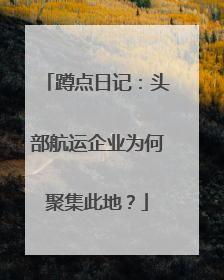蹲点日记：头部航运企业为何聚集此地？