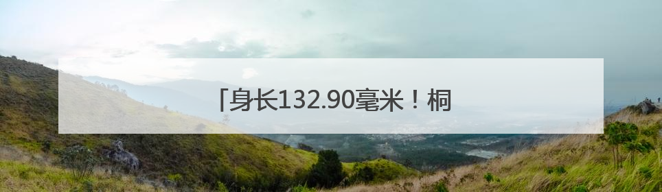 身长132.90毫米！桐乡养出“巨无霸”小龙虾