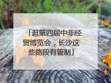 逛第四届中非经贸博览会，长沙这些路段有管制