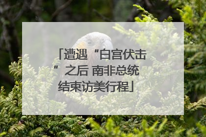 遭遇“白宫伏击”之后 南非总统结束访美行程