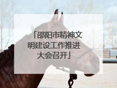 邵阳市精神文明建设工作推进大会召开