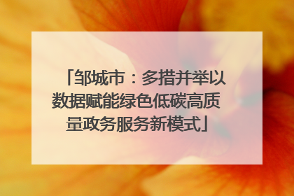邹城市：多措并举以数据赋能绿色低碳高质量政务服务新模式