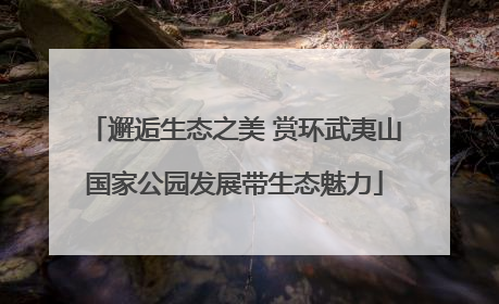 邂逅生态之美 赏环武夷山国家公园发展带生态魅力