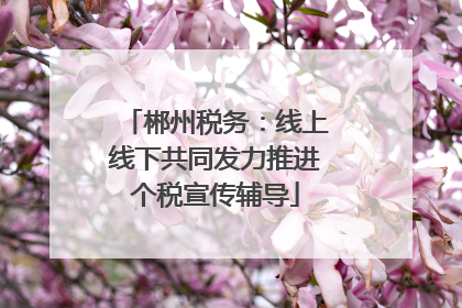 郴州税务：线上线下共同发力推进个税宣传辅导