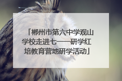郴州市第六中学观山学校走进七一一研学红培教育营地研学活动