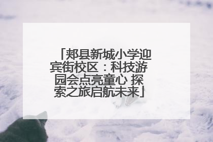 郏县新城小学迎宾街校区：科技游园会点亮童心 探索之旅启航未来