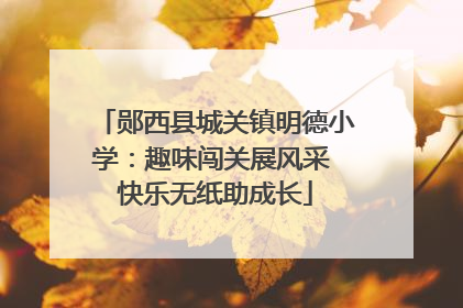 郧西县城关镇明德小学：趣味闯关展风采 快乐无纸助成长