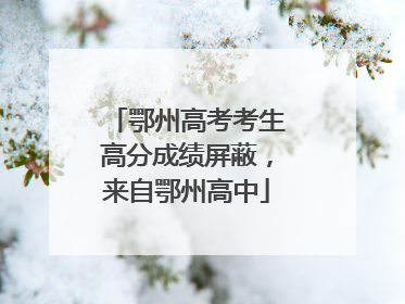 鄂州高考考生高分成绩屏蔽，来自鄂州高中