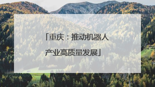 重庆：推动机器人产业高质量发展