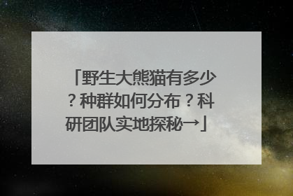 野生大熊猫有多少？种群如何分布？科研团队实地探秘→