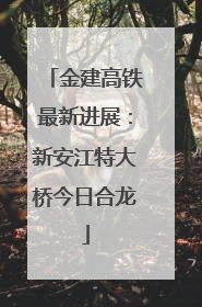 金建高铁最新进展：新安江特大桥今日合龙