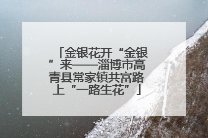 金银花开“金银”来——淄博市高青县常家镇共富路上“一路生花”