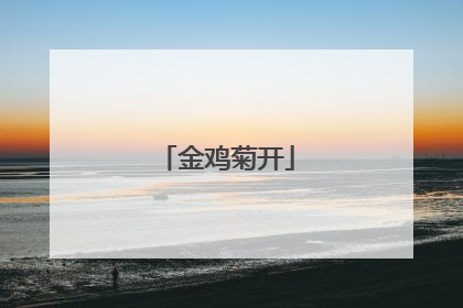 金鸡菊开