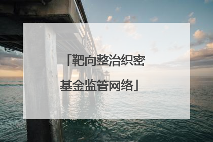靶向整治织密基金监管网络