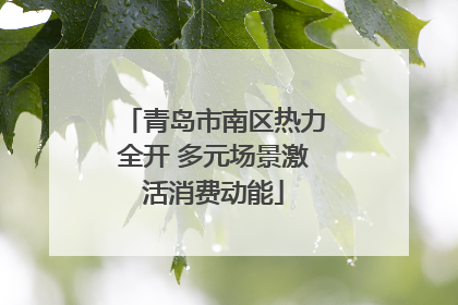 青岛市南区热力全开 多元场景激活消费动能