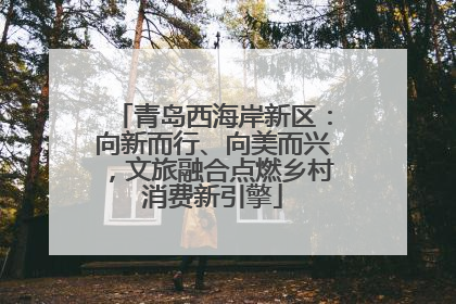 青岛西海岸新区：向新而行、向美而兴，文旅融合点燃乡村消费新引擎
