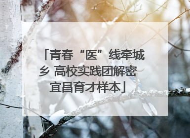 青春“医”线牵城乡 高校实践团解密宜昌育才样本