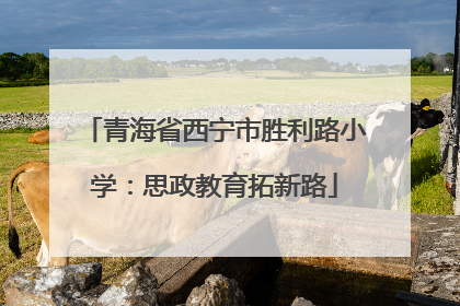 青海省西宁市胜利路小学：思政教育拓新路