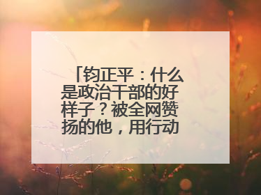 钧正平：什么是政治干部的好样子？被全网赞扬的他，用行动作出了回答
