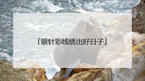 银针彩线绣出好日子