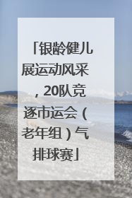 银龄健儿展运动风采，20队竞逐市运会（老年组）气排球赛