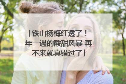 铁山杨梅红透了！一年一遇的酸甜风暴 再不来就真错过了