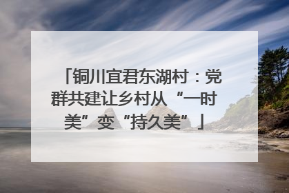 铜川宜君东湖村：党群共建让乡村从“一时美”变“持久美”